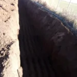 WhatsApp Image 2025-11-10 at 09.45.10 (1)