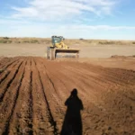 WhatsApp Image 2025-11-10 at 19.13.08 (1)