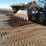 WhatsApp Image 2025-11-10 at 19.13.08