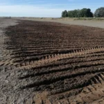 WhatsApp Image 2025-11-10 at 19.13.08 (2)