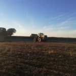 WhatsApp Image 2025-11-10 at 19.13.08 (3)