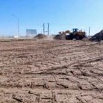 WhatsApp Image 2025-11-20 at 09.21.06